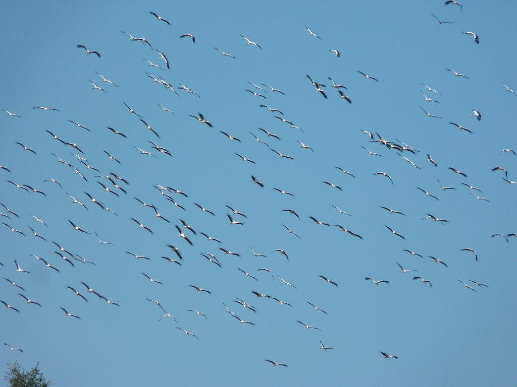 No s'ha trobat l'arxiu